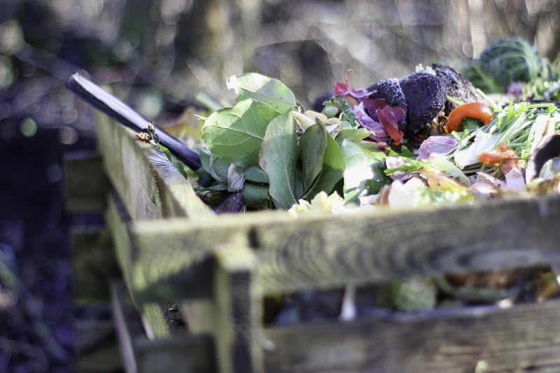 Indoor Worm Composting Bin